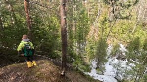 Блуждание в мещерских чащобах среди ручьев и бурелома