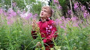 Королева красоты Илья Орлов 2019г