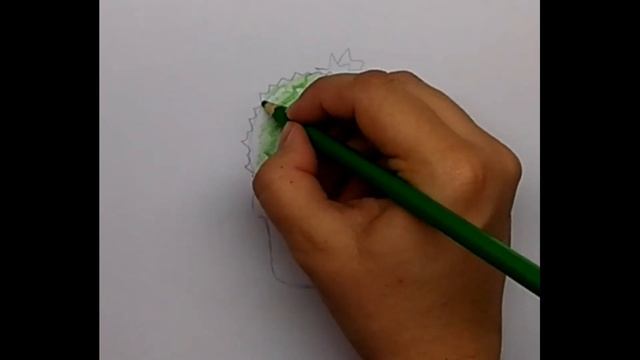 Как нарисовать цветущий кактус. Простой рисунок смотреть онлайн