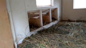 Курятник на 8-10 куриц 3м*2м.