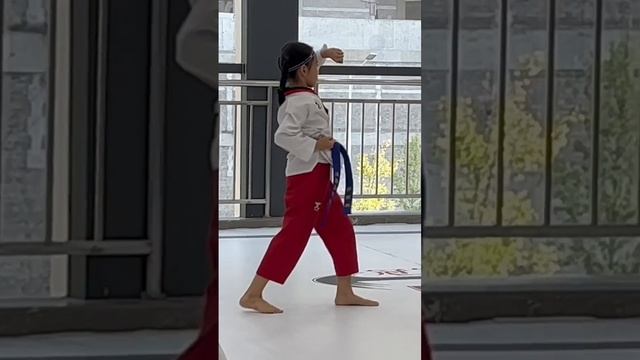 Taekwondo Poomsae 1/Form 1