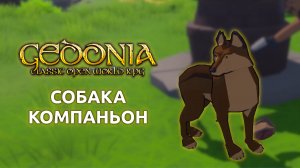 Лучший друг - собака компаньон | Gedonia | Прохождение #2