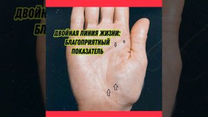 Двойная линия жизни