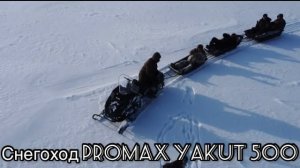 Утилитарный снегоход PROMAX YAKUT 500