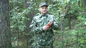 Прививка в расщеп боярышника (сорт кроваво-красный) на рябину обыкновенную (красноплодную).