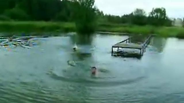 Кедровка. Пляж. Мостик для прыжков. смотреть онлайн