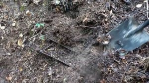 НАШЁЛ "СБРОС" МЕТАЛЛОЛОМА В ЛЕСУ. Коп 2021. Металлопоиск