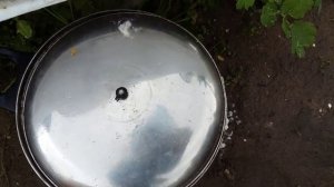 Супер органическая подкормка для огурцов,кабачков, тыквы