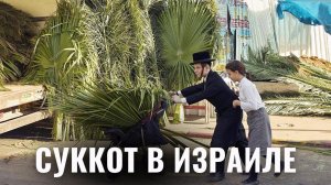 Как в Израиле отметили праздник Суккот
