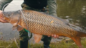 НЕОЖИДАННАЯ ВСТРЕЧА  на РЫБАЛКЕ. Ловля сазанов на Ахтубе с ночёвкой. Рыбалка в Астрахани.