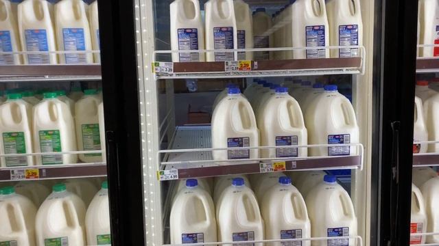 Голодная жизнь нищих русских иммигрантов в США