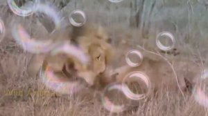 АХОТА..OV..👍👍