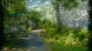 спортивно-оздоровительный лагерь "Политехник"