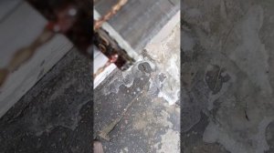 Забита радиатор печки газель