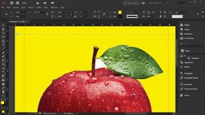 Removing A White Background In Adobe InDesign