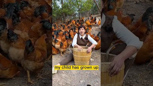 Single mother raises a son by running the chicken farm