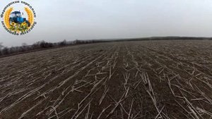 Дисковка весной, почему не осенью? МТЗ 82.1 с БДТ7 (серединкой).