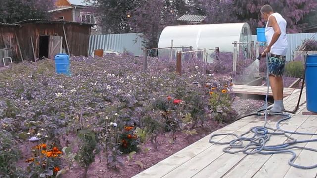 * МОЙ ДВОРИК * часть 2 * смотреть онлайн