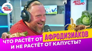 Что растет от афродизиаков и не растет от капусты? Шеф-повар Константин Ивлев