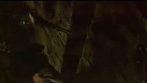 Сказка, рассказанная ночью 1981 год