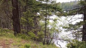 Hiking McConnell Lake in Canada, Kamloops, British Columbia