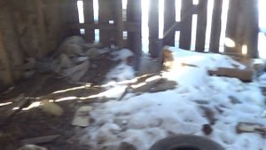 ЗАБЫТАЯ ДЕРЕВНЯ ПРЕДКОВ, 21 ВЕК!!!, в горах. СИБИРЬ.2020г( заброшки РЫБАКОВ,ОХОТНИКОВ я в шоке!)