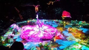ЦИРК ДЮ СОЛЕЙ В МАЙАМИ (Cirque du Soleil)