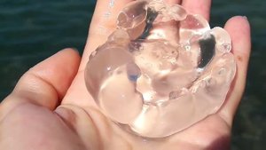 ЧЕРНОЕ МОРЕ  МЕДУЗА