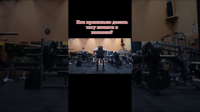 Идеальная техника тяги штанги в наклоне#тягаштанги#тягаштангивнаклоне#техникавыполненияупражнения