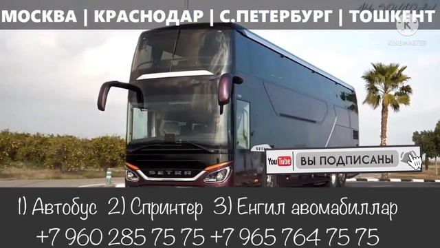 Краснодар Ташкент автобус #краснодар #ташкент #автобус