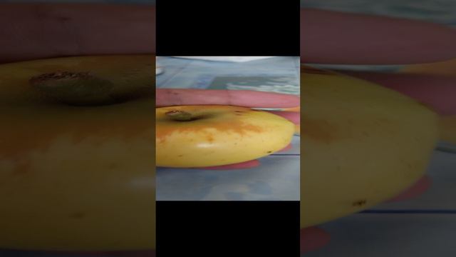 1000028482.mp4