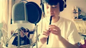 Традиционная Ирландская флейта Clarke