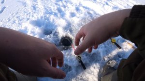 Зимняя рыбалка 2020 Пробуем безмотылку на течении!