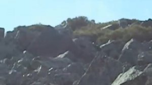 Горные жители...