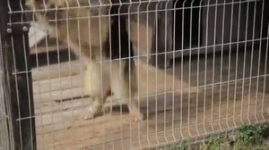 Семья Горбань Григория и Татьяны из деревни Севрюки