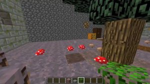 ИГРАЕМ В ПРЯТКИ В ДОМЕ БАБКИ ГРЕННИ В РЕАЛЬНОЙ ЖИЗНИ В МАЙНКРАФТЕ НУБИК ИГРАЕТ В MINECRAFT МУЛЬТИК