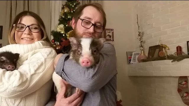 Новая фотостудия в Москве. Останкино смотреть онлайн