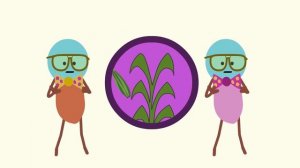 Go Bananas! | Camp Song | Scratch Garden