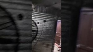 Строма на грибных блоках вёшенки.