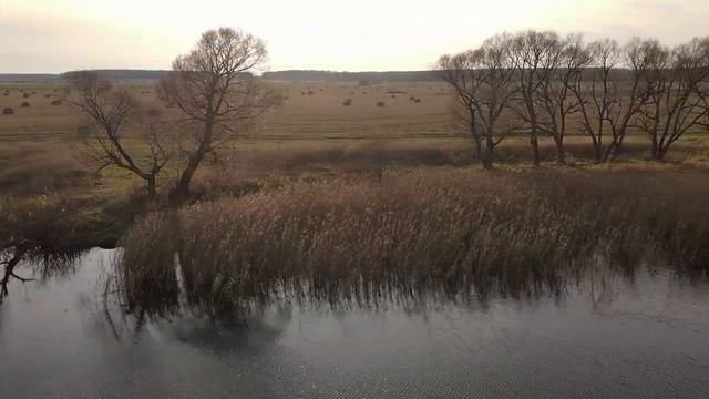 На Тепляковском озере смотреть онлайн