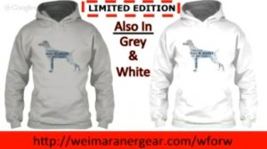 Weimaraner | Weim Lovers | http://weimaranergear.com/wforw