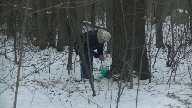 Кошкин дом смотреть онлайн