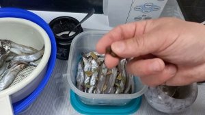 Малосольная мойва. Простейший рецепт