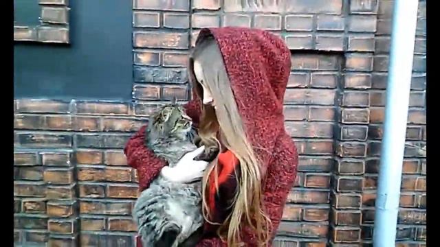 VLOG ♥ фотосессия,ночевка, и слишком много животных! смотреть онлайн