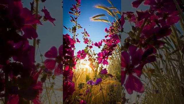 Медитация на счастливую,изобильную жизнь ?♀️