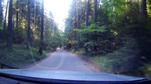 сектор газа - ява ремикс, лесной серпантин