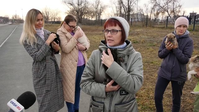 В Орске в коробке на улицу выкинули четвероногих пушистиков 3 смотреть онлайн
