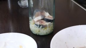 МАЛОСОЛЬНА СКУМБРИЯ  Готовить Проще Простого!!!   Mackerel Recipe