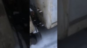 В -15 Завожу foton aumark 1061 Cummins 3.8 после месяца простоя