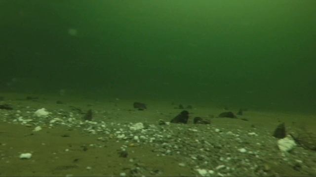 Весенний Рипус / Рыбалка в Палатке с Печкой смотреть онлайн